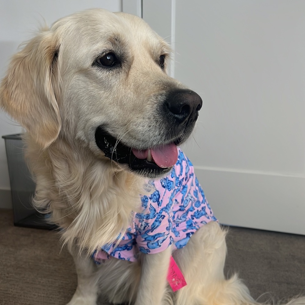 Lilly Pulitzer dog pajamas in fun dog print! New with tags. - Picture 5 of 6